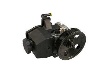 Mercedes Power Steering Pump (New) 0024663001